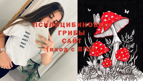 трава Балахна