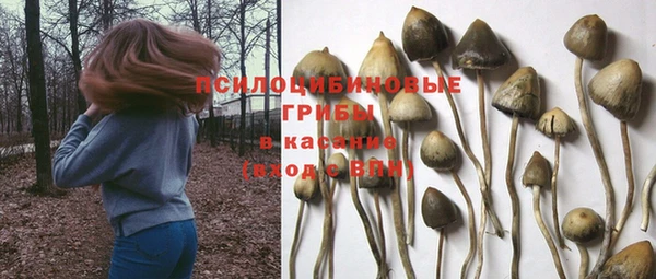 трава Балахна
