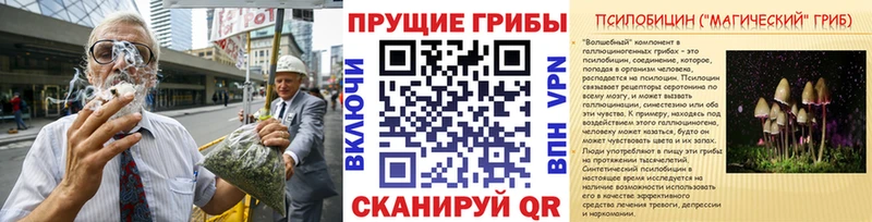 Галлюциногенные грибы Cubensis Шимановск